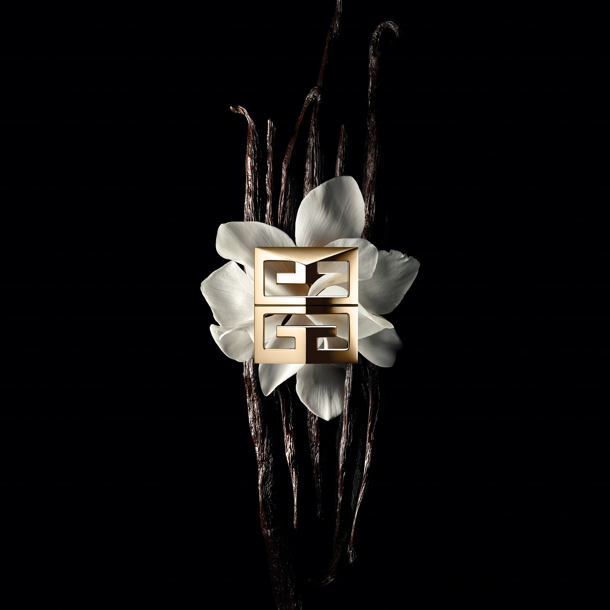 GENTLEMAN SOCIETY AMBREE: Men's Amber Perfume | Givenchy Beauty