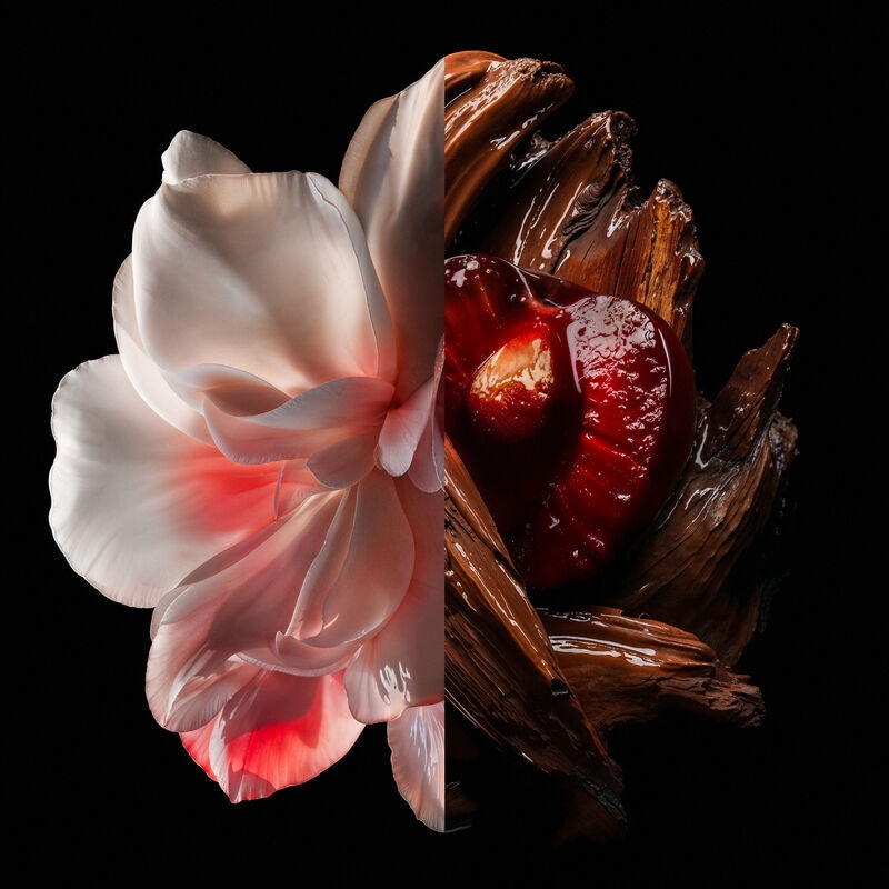 L'INTERDIT ELIXIR INGREDIENTS