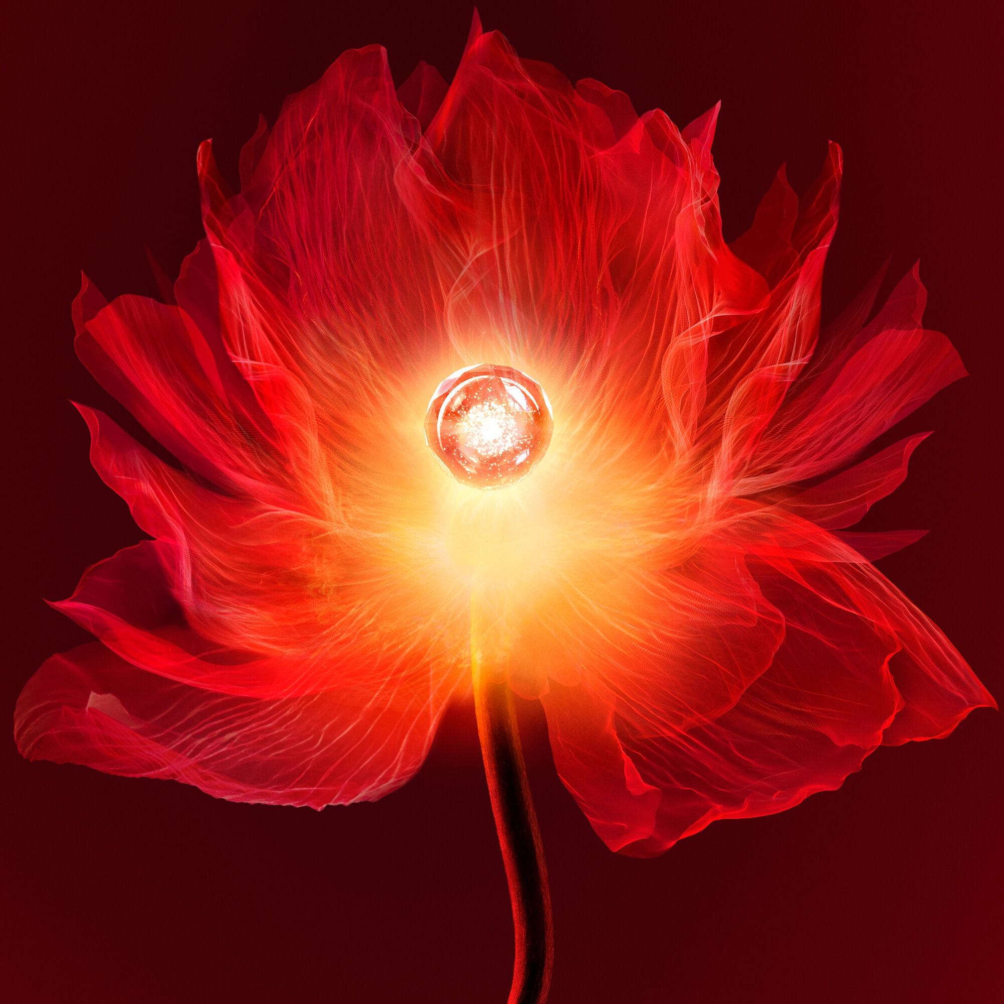 スカルプチュラル クレーム レジェ（レフィル） | Givenchy Japan