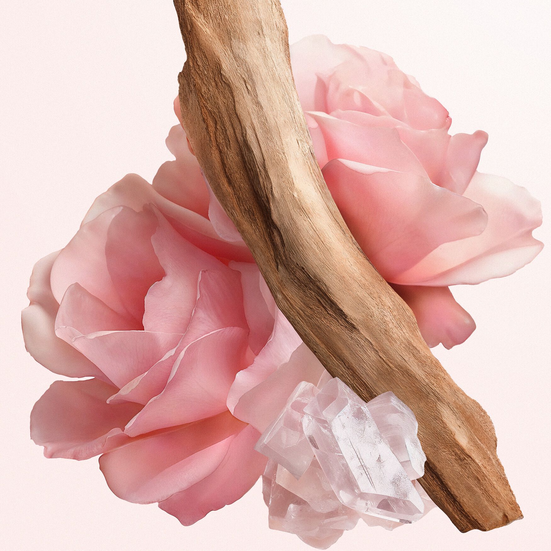 イレジスティブル オーデパルファム ローズ ベルベット - オーデ