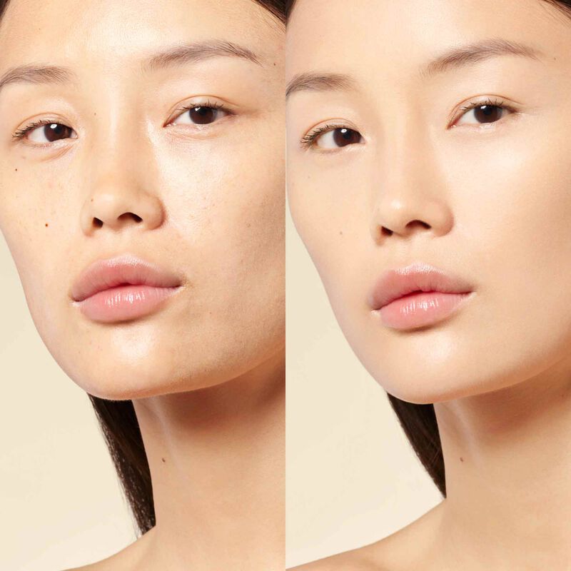 Prisme Libre Skin-caring Concealer - 24h wear & hydration skin-caring multi-purpose concealer - n2