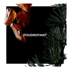 View 3 - Foudroyant - A flamboyant trail, between elegance and addiction. GIVENCHY - 100 ML - P031234