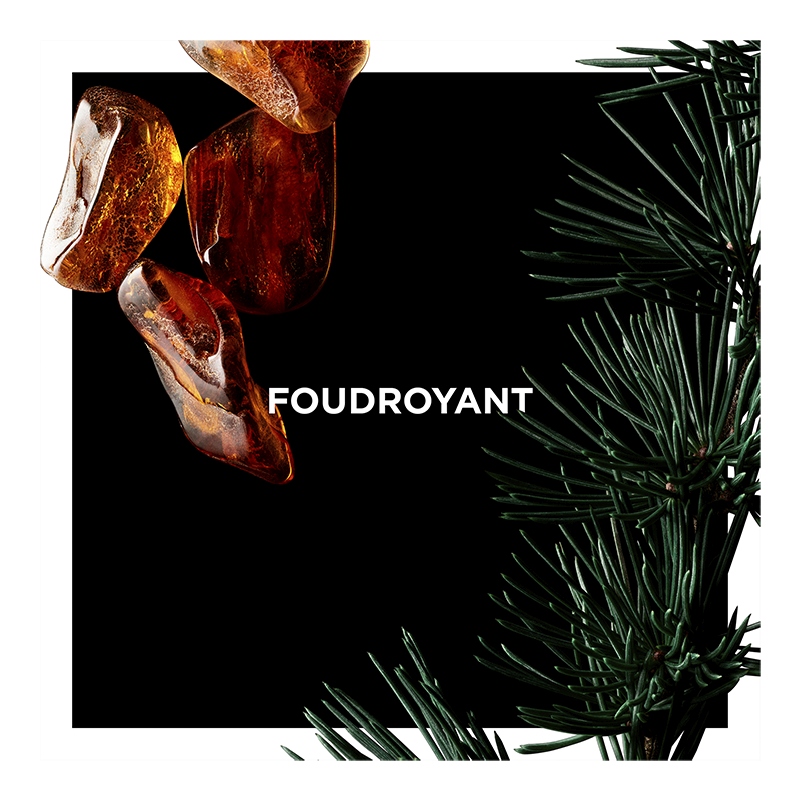 foudroyant givenchy