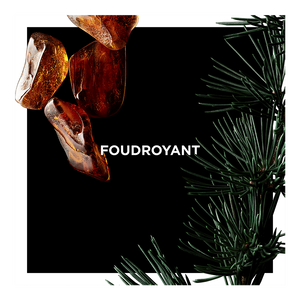 Vue 3 - Foudroyant GIVENCHY - 100 ML - P031121
