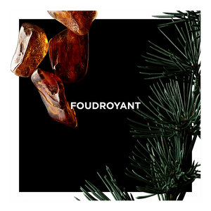Vue 3 - FOUDROYANT GIVENCHY - F10100171