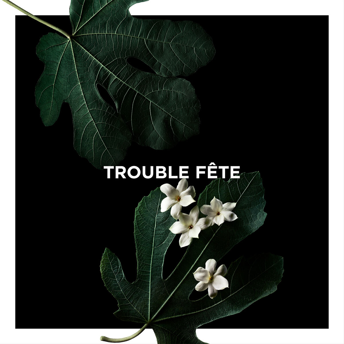 Trouble-Fête