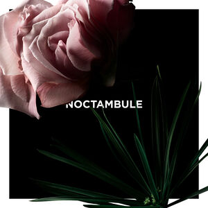 View 3 - NOCTAMBULE - La Collection Particulière - Eau de Parfum Intense GIVENCHY - 100 ML - P031120