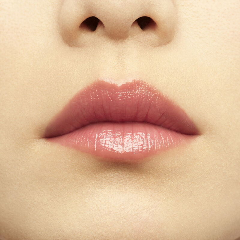 BÁLSAMO LABIAL ROSE PERFECTO - EDICIÓN LIMITADA - n5