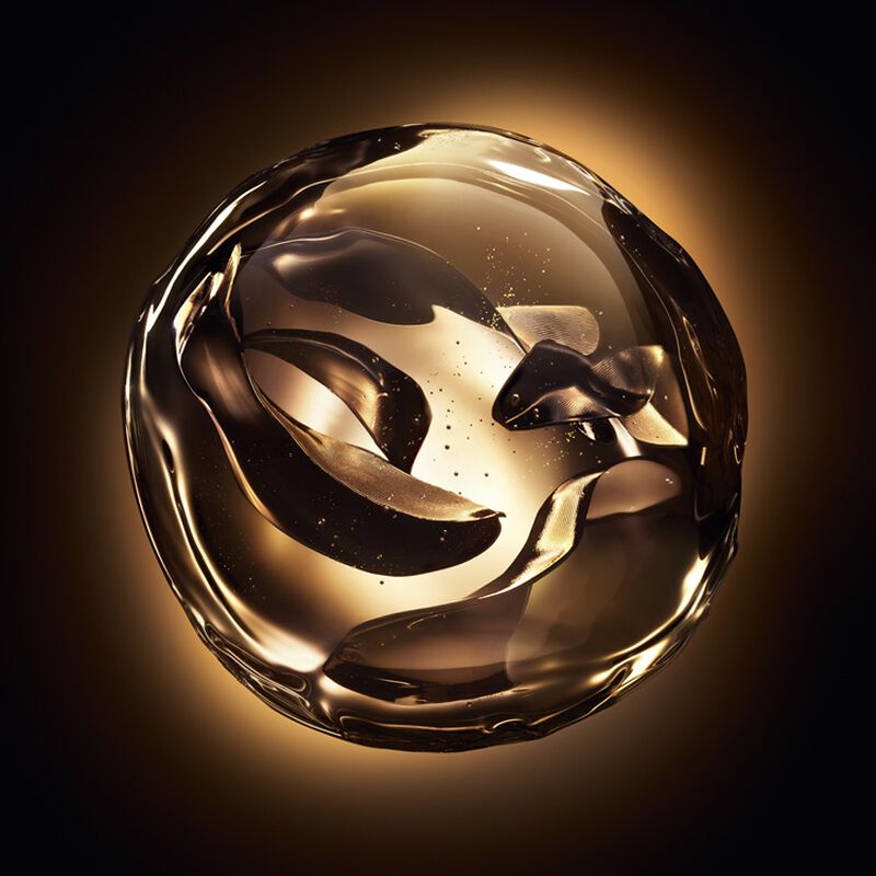 LE SOIN NOIR PERFECTING OIL - n5