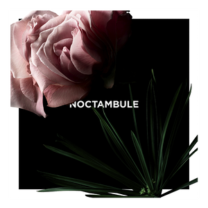 Vue 3 - Noctambule GIVENCHY - 100 ML - P031120