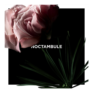 View 3 - Noctambule - Spicy, complex and paradoxical, a resolutely enigmatic fragrance. GIVENCHY - 100 ML - P031120