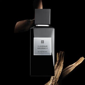 View 3 - 3 avenue George V - 100ML