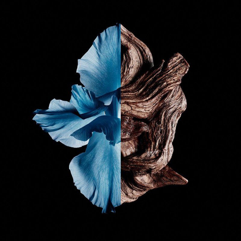 Gentleman Givenchy Intense - Eau de toilette intense aromatic, floral, woody - n2