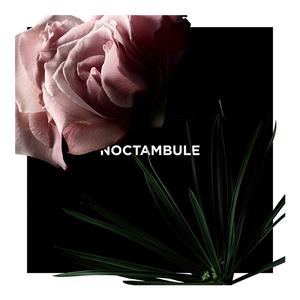 View 3 - Noctambule - Una rosa enigmática, escandalosamente nocturna. GIVENCHY - 100 ML - P031237