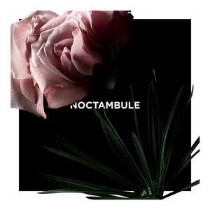 View 3 - Noctambule - Una rosa enigmática, escandalosamente nocturna. GIVENCHY - 100 ML - P031237