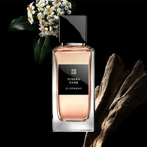 View 4 - Oiseau Rare - A nonchalantly sophisticated white flowers bouquet. GIVENCHY - 100 ML - P031228