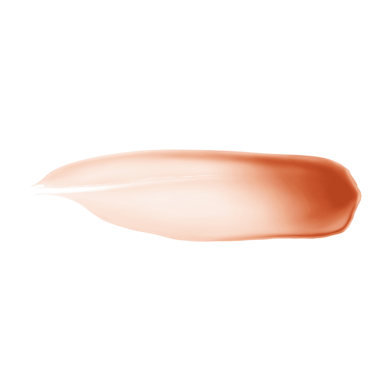 Rose Perfecto Plumping Lip Balm 24h Hydration - 24h hydrating & beautifying lip balm - n2