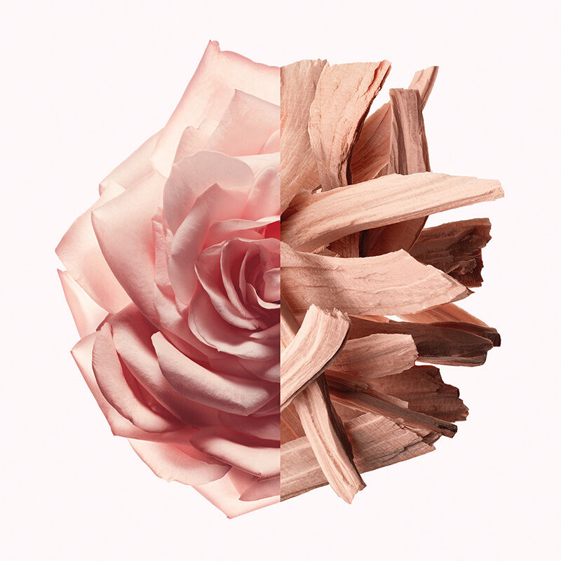 Irresistible Nude Velvet : Parfum Poudré - n2