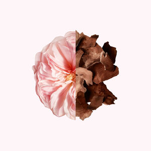 View 3 - IRRESISTIBLE SOLID PERFUME - Luscious rose dancing with radiant blond wood. GIVENCHY - 3,3 G - P136430