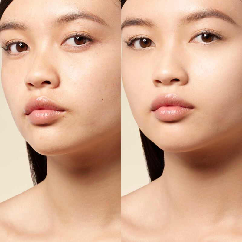Prisme Libre Skin-caring Concealer - 24h wear & hydration skin-caring multi-purpose concealer - n2
