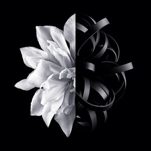 View 3 - L'INTERDIT - Благоухающий цветок с нотками чувственного мускуса. GIVENCHY - 80 МЛ - P069312