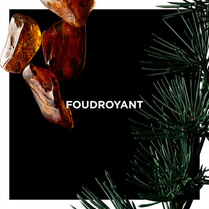 Vue 3 - Foudroyant GIVENCHY - 100 ML - P031121