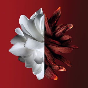 View 3 - L'Interdit Rouge - Una flor sensual impregnada de un acorde rojo especiado. GIVENCHY - 80 ML - P069262