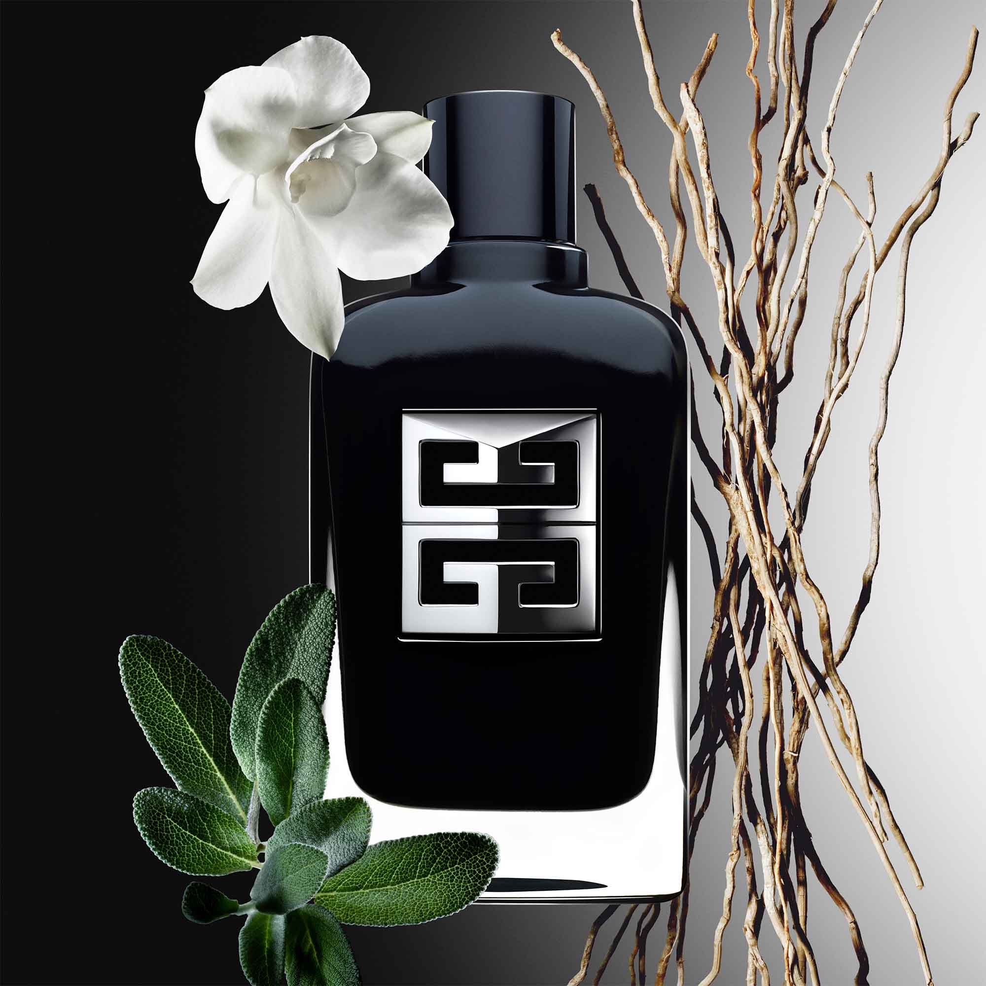 Gentleman givenchy on sale cologne 100ml