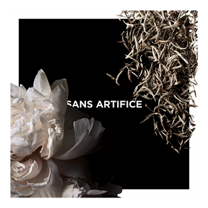 Vue 3 - Sans Artifice GIVENCHY - 100 ML - P031375