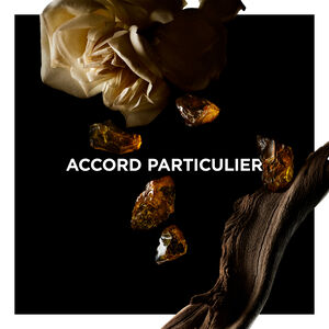 View 3 - ACCORD PARTICULIER PERFUMED CANDLE GIVENCHY - 190 G - P031387