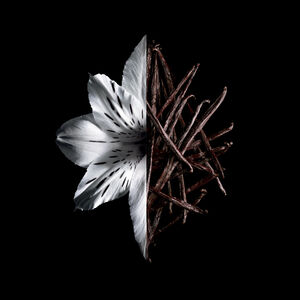 View 3 - L'INTERDIT - Una flor exquisita enriquecida con vainilla negra con toques de cuero. GIVENCHY - 80 ML - P069172