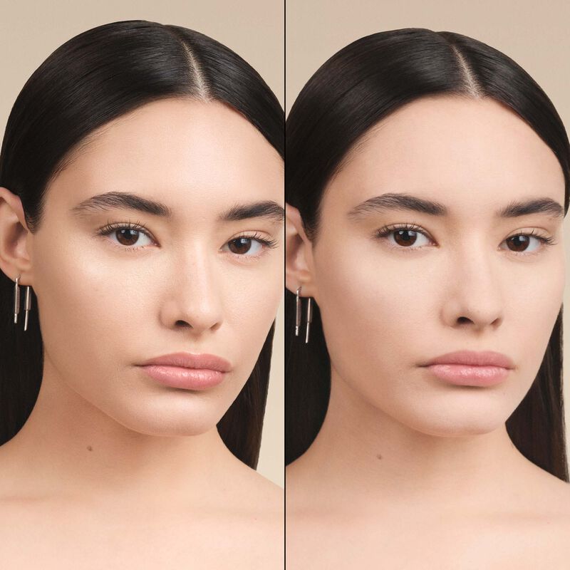 PRISME LIBRE PRESSED POWDER : Translucent Pressed Powder - n3