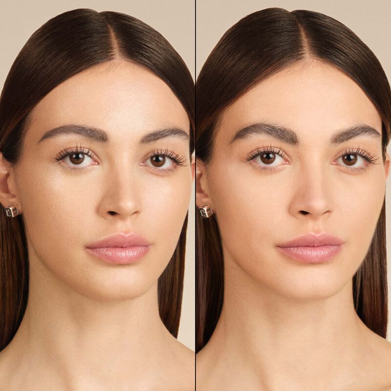 PRISME LIBRE PRESSED POWDER : Translucent Pressed Powder - n3