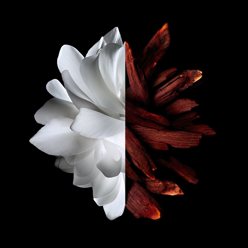 L'interdit Rouge - Eau de parfum floreale, speziata, legnosa - n4