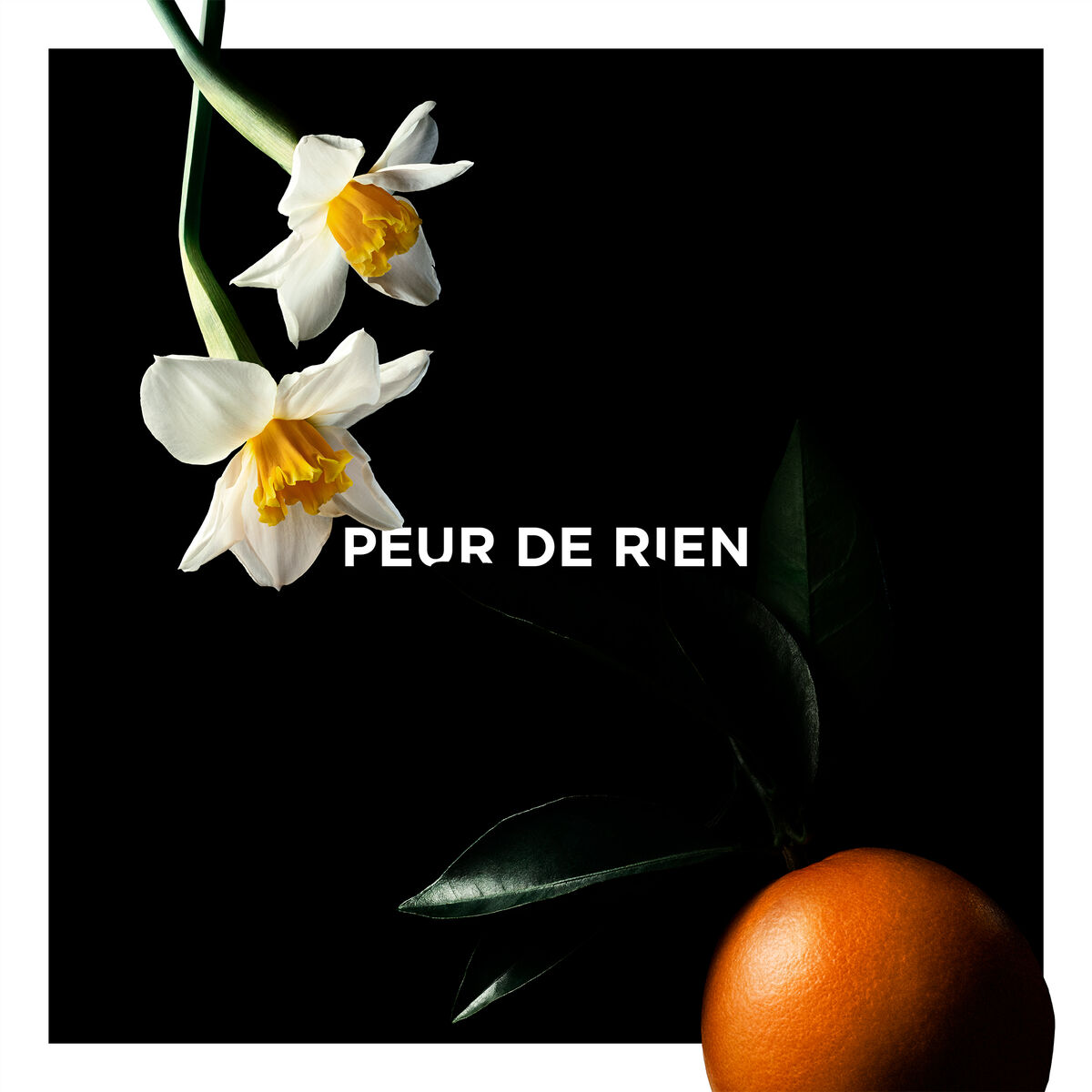 Peur de Rien