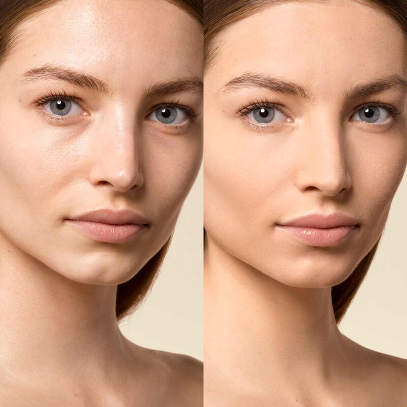 Prisme Libre Skin-caring Concealer - 24h wear & hydration skin-caring multi-purpose concealer - n2
