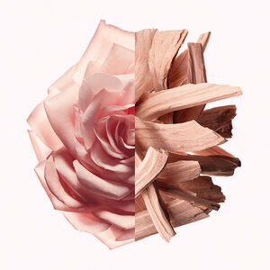 View 2 - IRRESISTIBLE NUDE VELVET - 50 ML