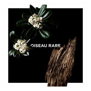 View 3 - Oiseau Rare - A solar trail exuding purest refinement. GIVENCHY - 100 ML - P031228