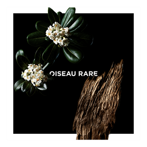 View 3 - Oiseau Rare - A nonchalantly sophisticated white flowers bouquet. GIVENCHY - 100 ML - P031228