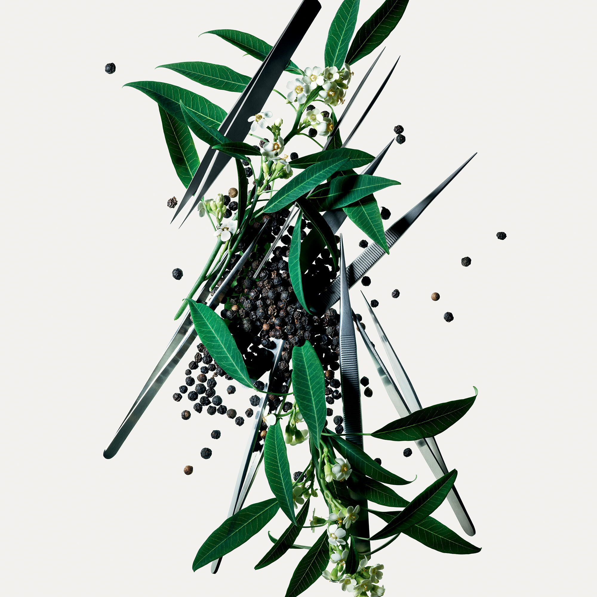 Oiseau rare givenchy Clearance
