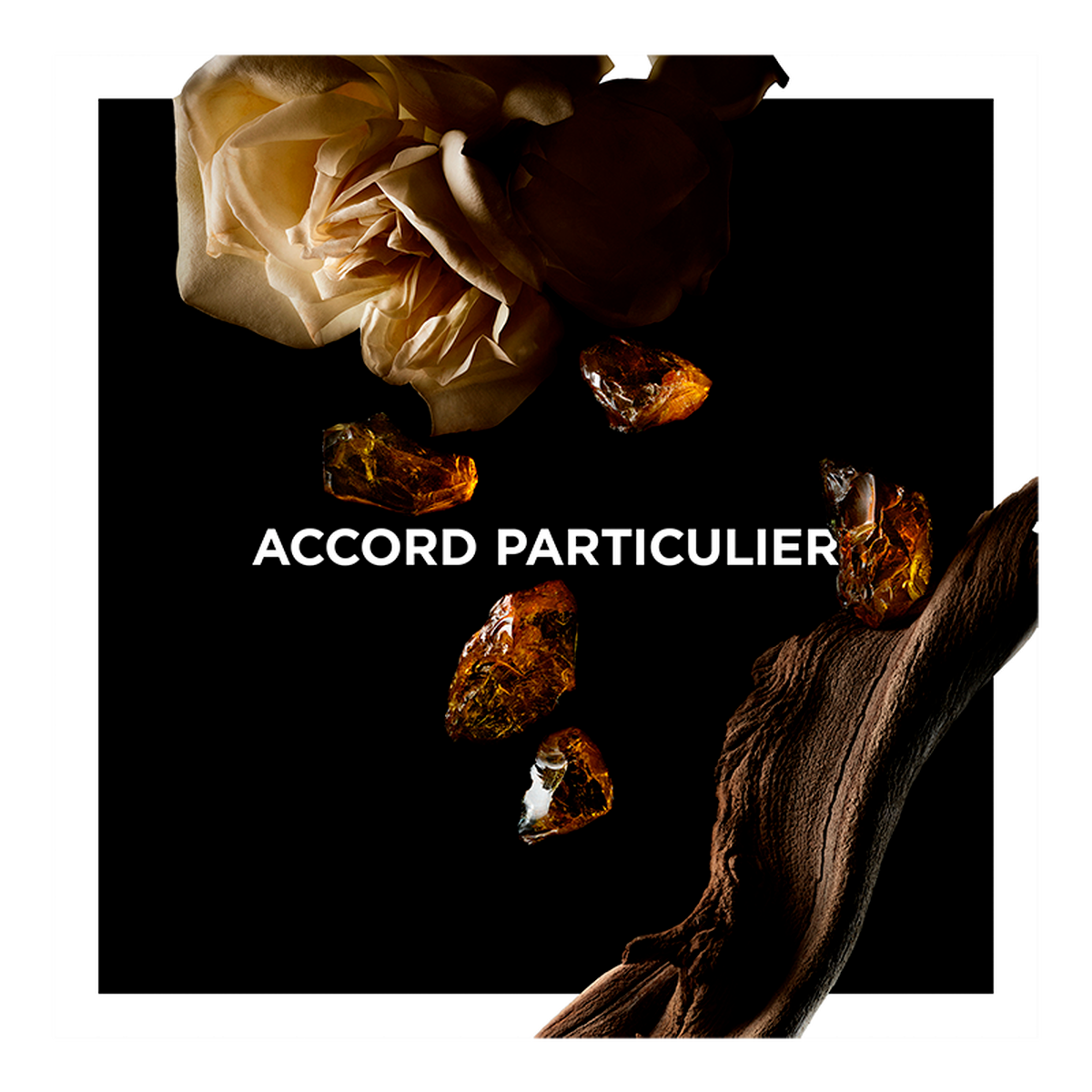 BOUGIE PARFUMÉE ACCORD PARTICULIER