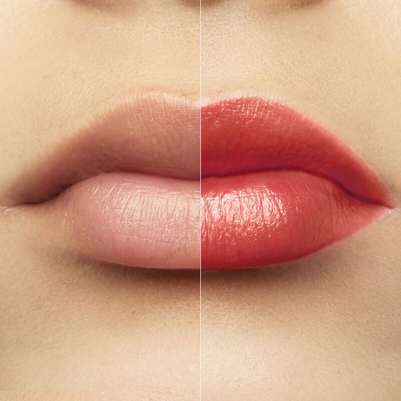 Rose Perfecto Plumping Lip Balm 24h Hydration - 24h hydrating & beautifying lip balm - n4