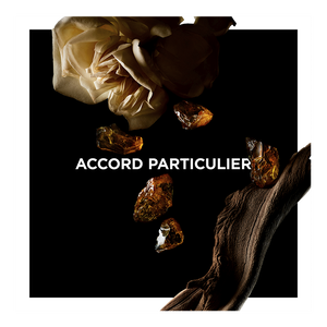 Vue 2 - Accord Particulier - Subtil et profond, un parfum à porter comme une seconde peau. GIVENCHY - 100 ML - P031225