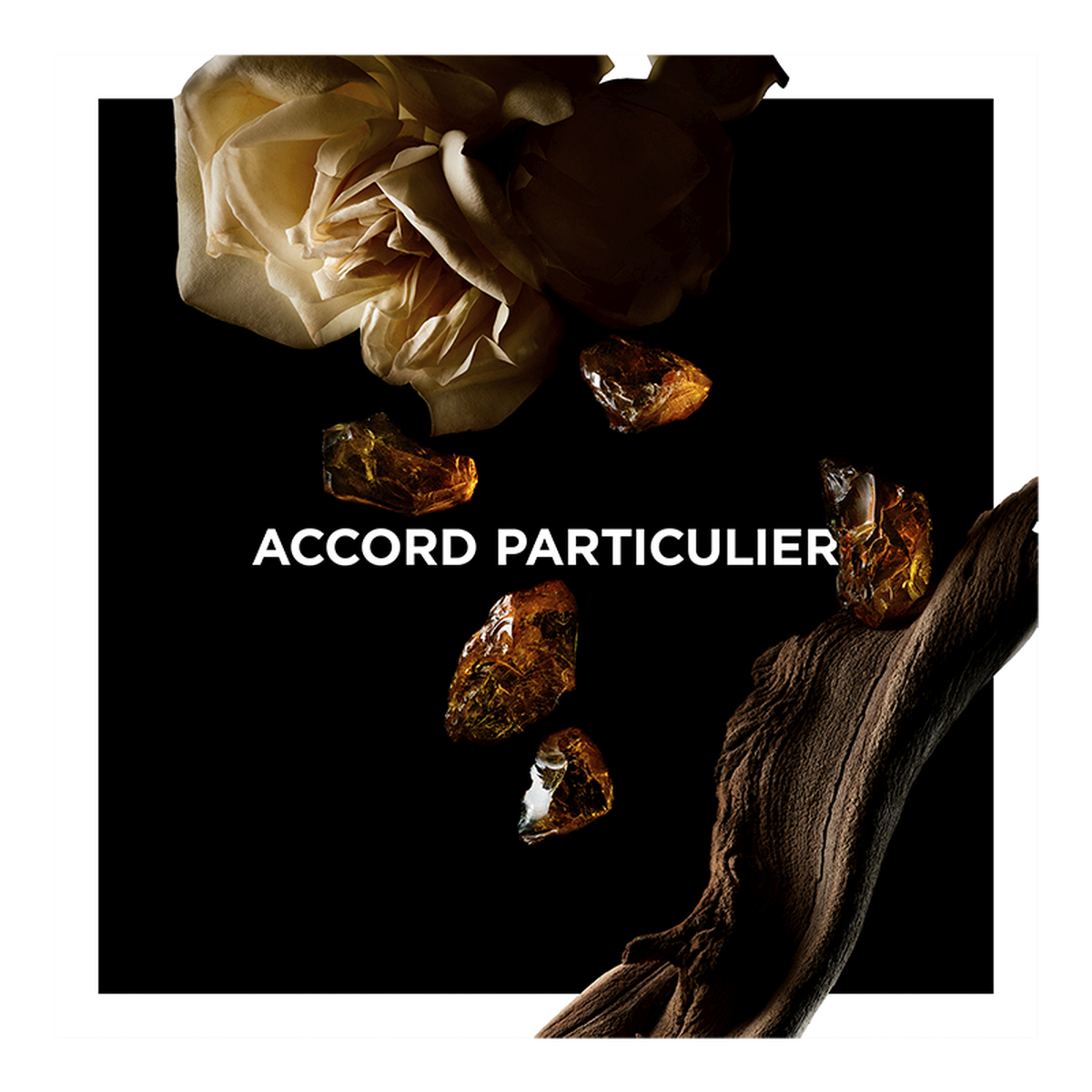 ACCORD PARTICULIER