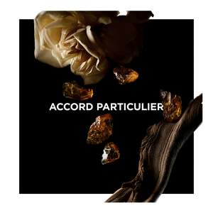 View 2 - Accord Particulier - Subtle and deep, a fragrance to be worn like a second skin. GIVENCHY - 100 ML - P031225