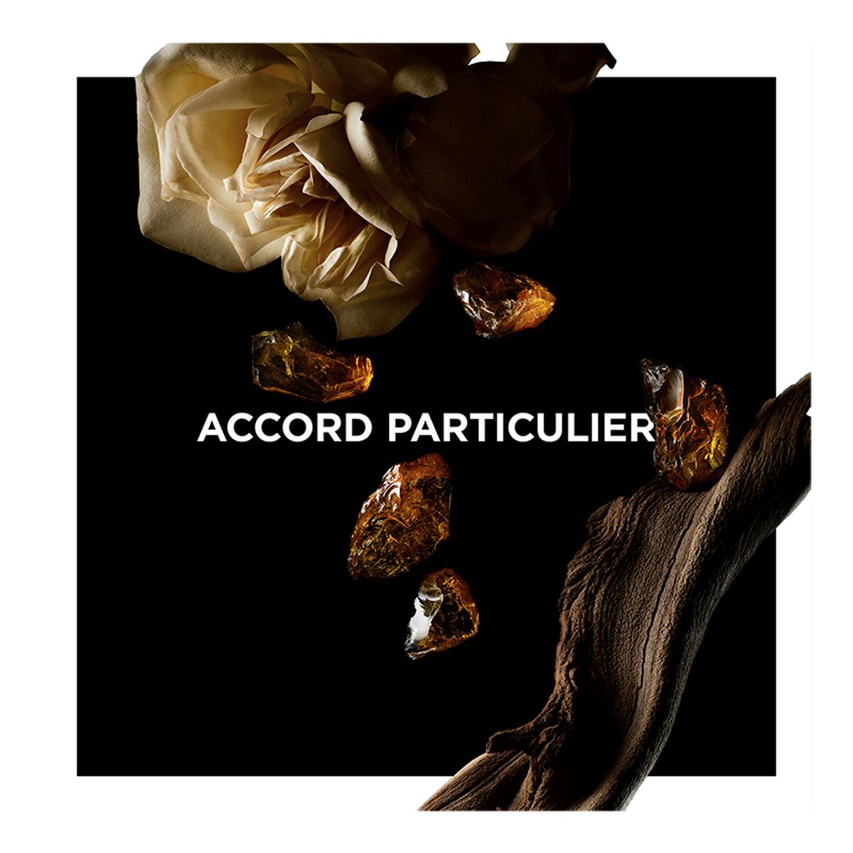 SET ACCORD PARTICULIER - LA COLLECTION PARTICULIÈRE