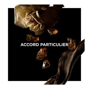 Vue 2 - BOUGIE ACCORD PARTICULIER - La signature olfactive de la Maison Givenchy dans une bougie parfumée qui offre à votre intérieur une atmosphère subtile. GIVENCHY - 190 G - P000415