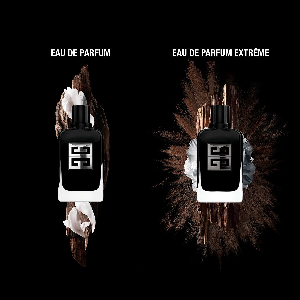 Gentleman Society - Eau de parfum woody, floral, aromatic