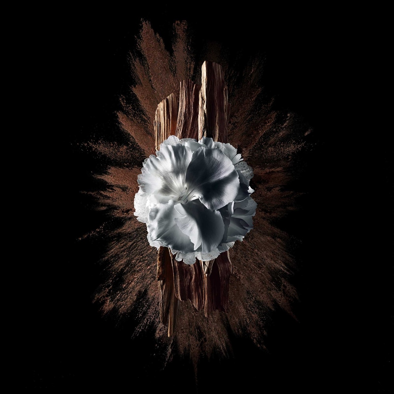 Gentleman Society Extreme - Парфюмерная вода древесный, цветочный, пряный - n4