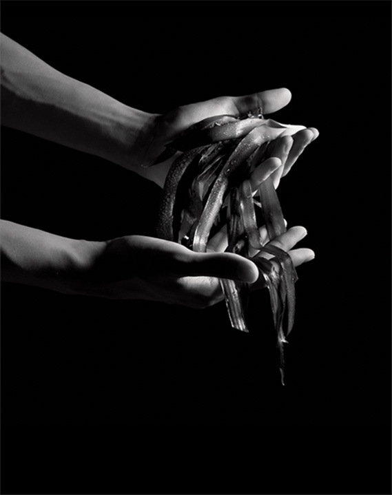 Le soin noir: an extraordinary survival capacity